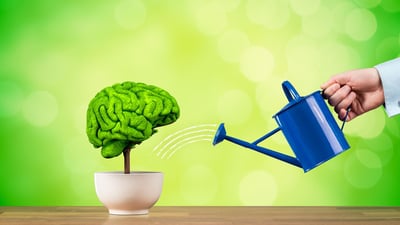 Neuroplasticidad cerebral en niños. El impacto en su desarrollo